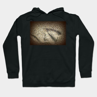 seagull footprint in the sand Hoodie